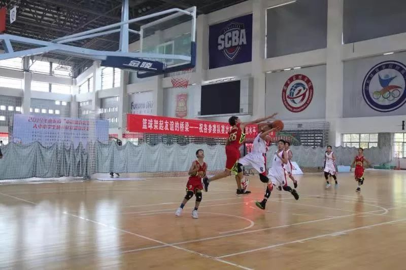 2019小学篮球比赛_阳新小学篮球比赛冠军是谁_阳光小学篮球队